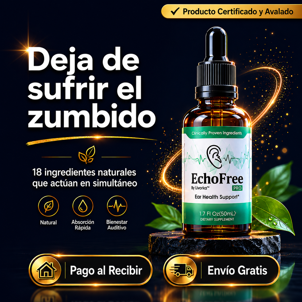 EchoFree Solución a Tus Oídos