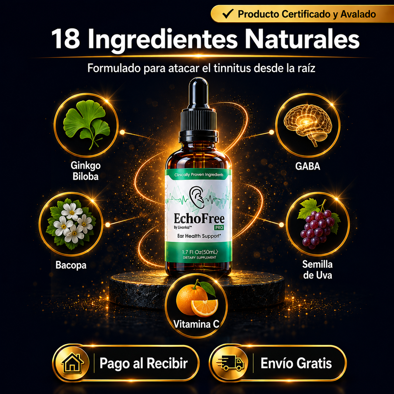 EchoFree Solución a Tus Oídos